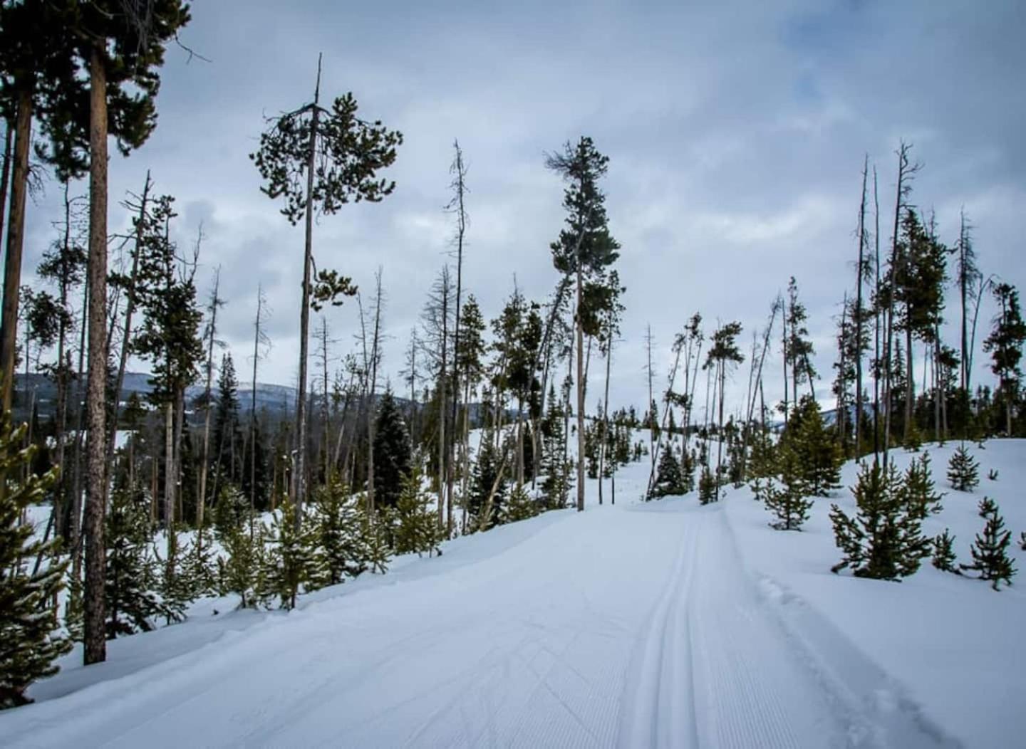 The Loose Moose Cabin #11 At Downtown Grand Lake Extérieur photo